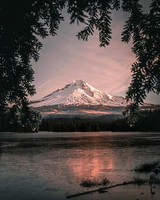 ExploredCo's tweet photo. Photo from @colezuver - Trillium Lake - This image was the most popular feature on @oregonexplored this week - #OregonExplored is a member of the #ExploredCo family - #Oregon https://t.co/cAFU1RhlbJ https://t.co/ACaXU8e2R4