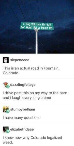 _TheDM's tweet photo. @foxmusk I felt like you should see this.
I fact-checked, it is a real road. https://t.co/8fN8NCk6xZ