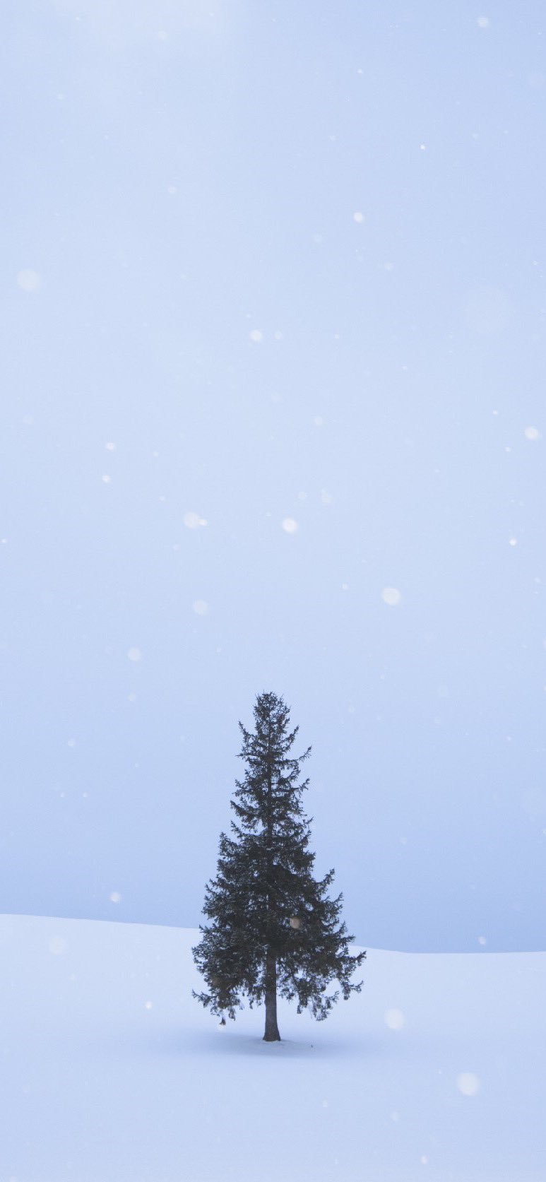 تويتر Koda Mouse على تويتر Lineに雪が降ってるから雪用の背景におすすめな写真をどうぞ Merrychristmas19 Line背景 クリスマスのline背景 T Co Coybxovzob