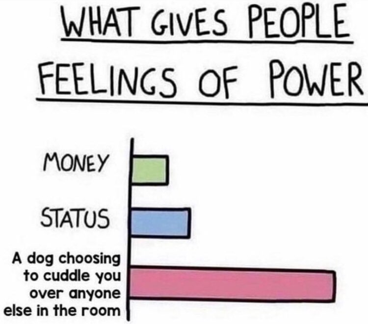 RespectfulMemes's tweet photo. https://t.co/xUVGojMcuW
