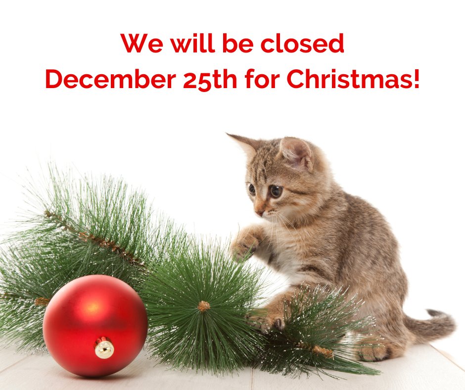 Junglejunction's tweet photo. We are closed on Christmas Day, so that our team can enjoy the holiday with their family. We will be open our regular hours on Thursday. Thank you from all our feathered and furry friends for a fantastic season, and happy holidays! https://t.co/6sGvP6tCUN