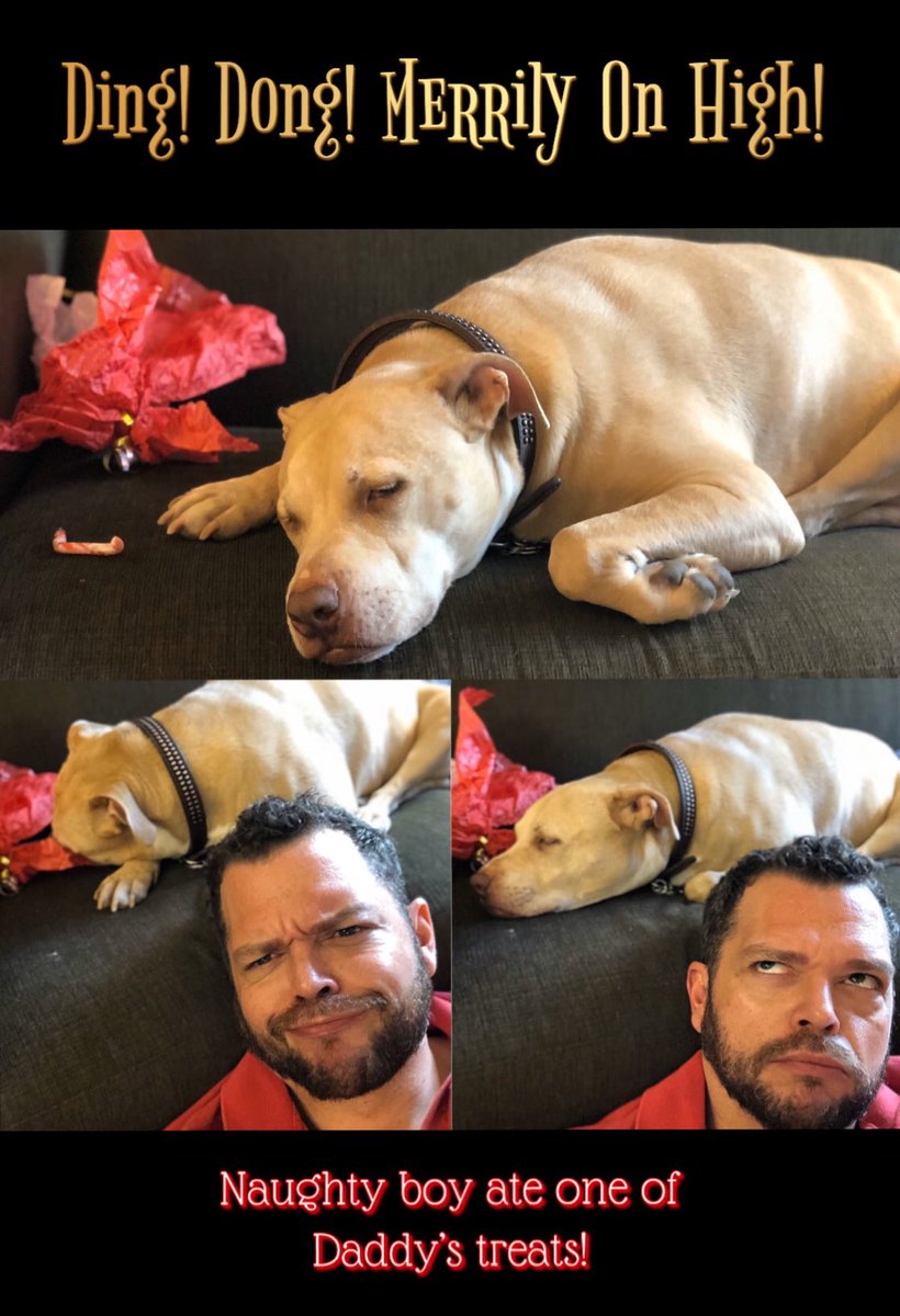 PNut2181's tweet photo. #MerryChristmasEve #pitbullsofinstagram #NavidadEnFamilia https://t.co/QNwCG8HNsu