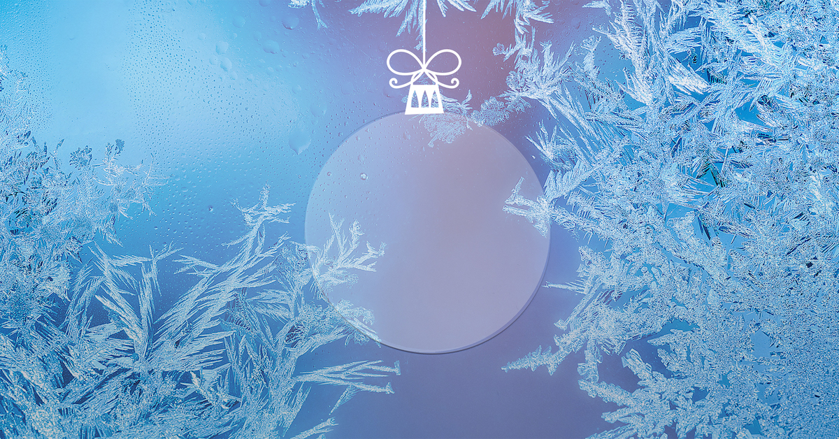 We wish all our customers a Merry Christmas and a prosperous New Year!