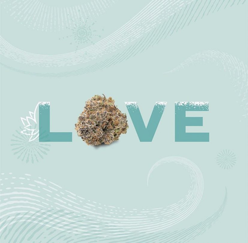 Mz Stoned tweet media