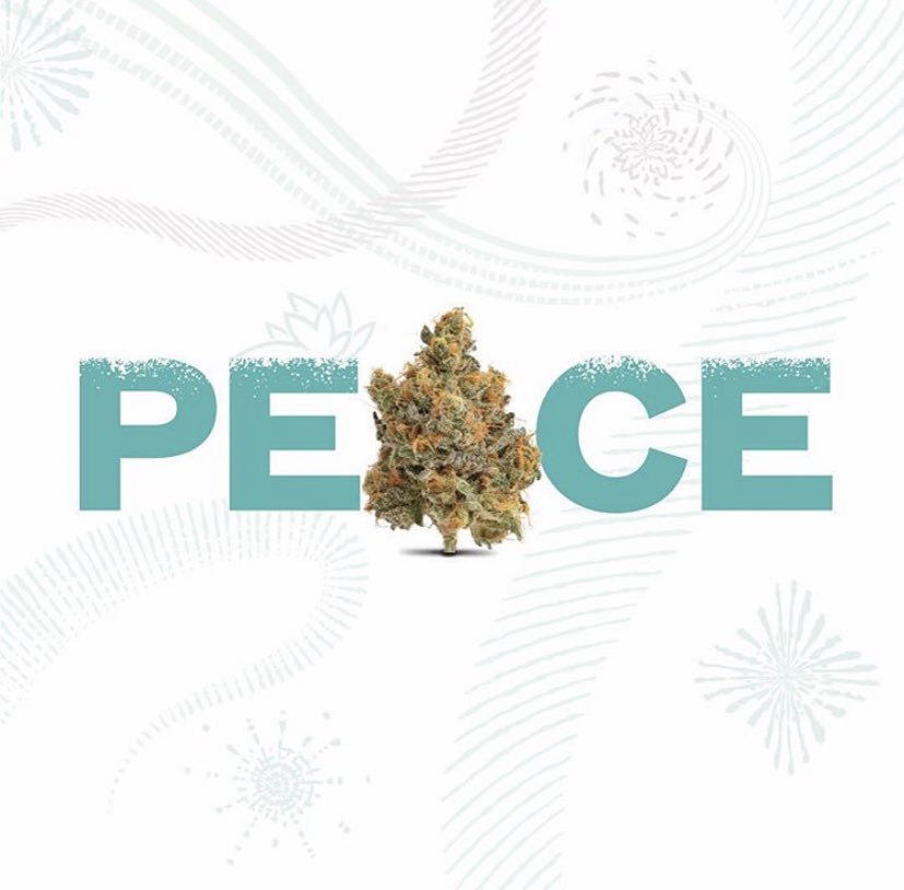 Mz Stoned tweet media