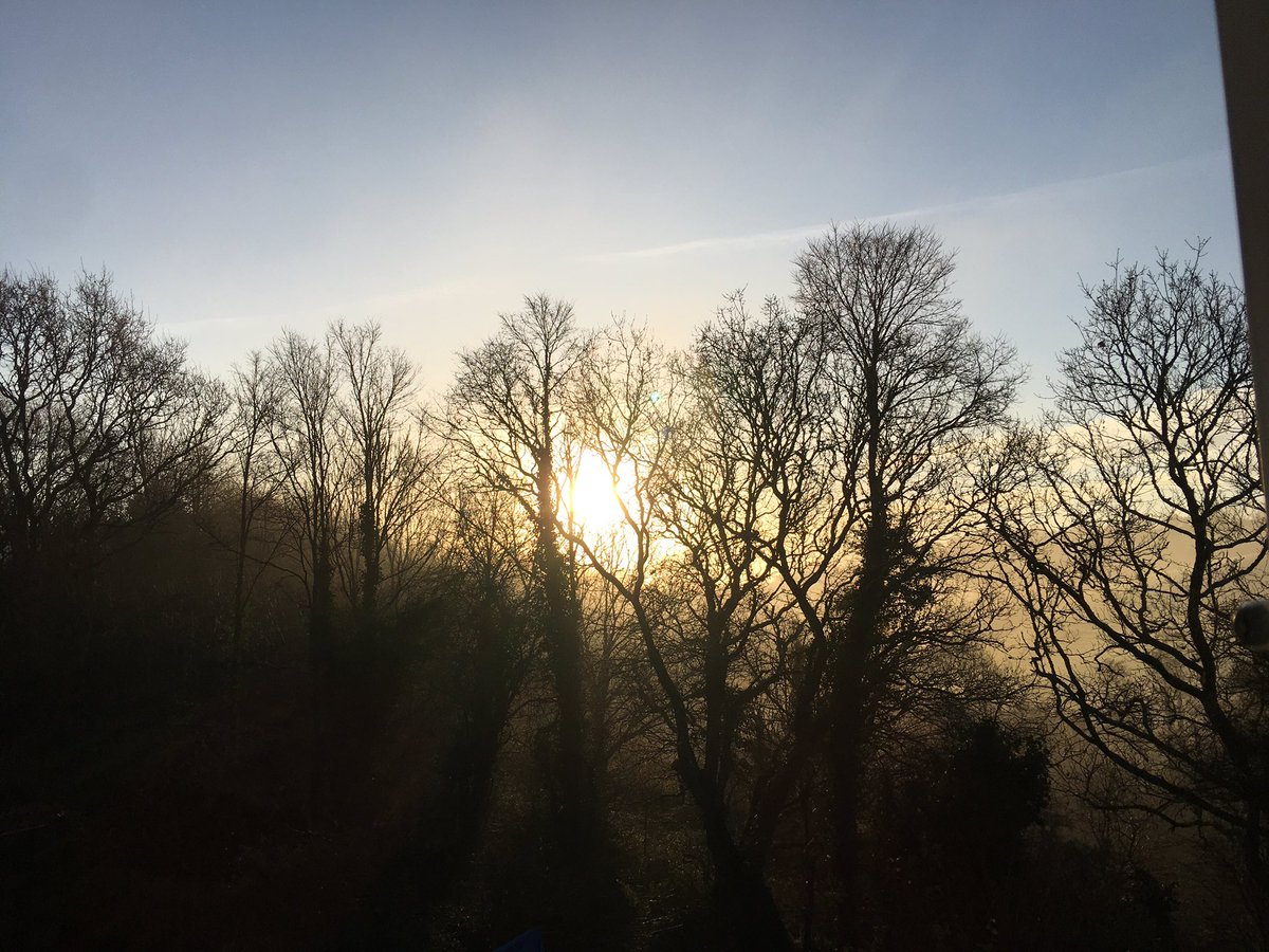 Isobel Bryce tweet media