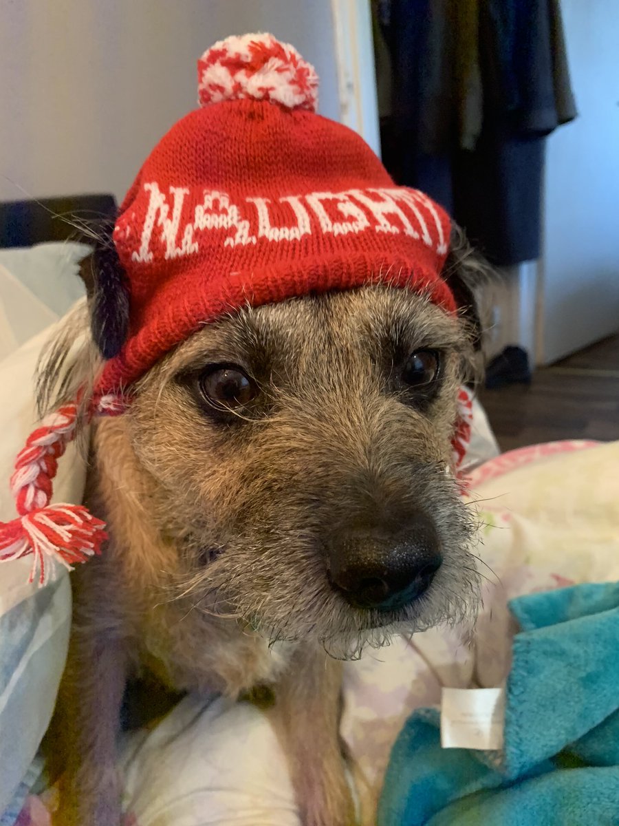 InspJapp's tweet image. But...