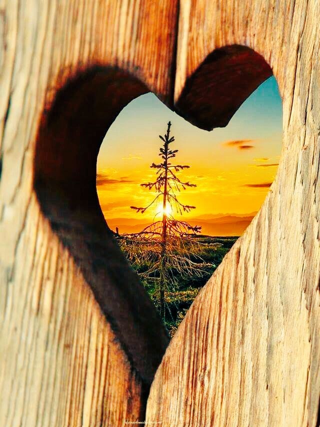 INSTINC26289171's tweet photo. #TuesdayMotivation #GivingTuesday #TuesdayTrivia
#TuesdqySelfie
Too many selfies virtually but not sure of self #photography #LifeLessons #mindfulness #Expression #Artistic
#FineArt #Exquiste #Smart #Sleek #Smile https://t.co/vqlPjEct8h