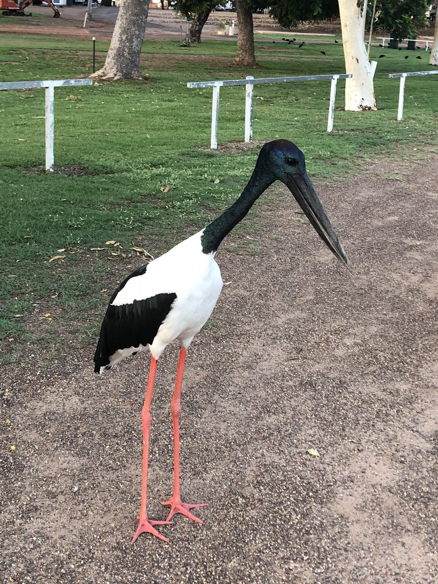 He is very friendly <a href="/dortsmaria/">Maria</a>