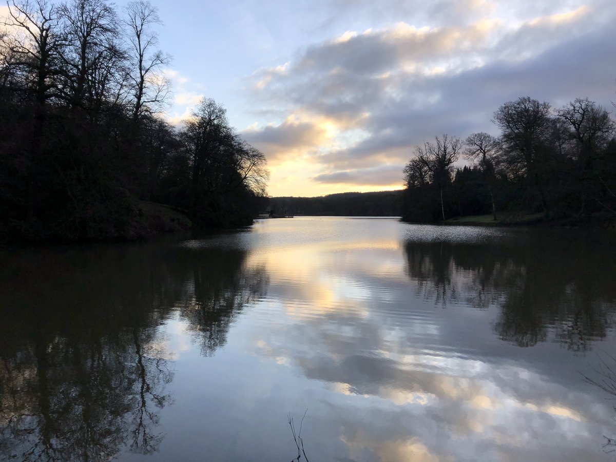 David Lascelles tweet media