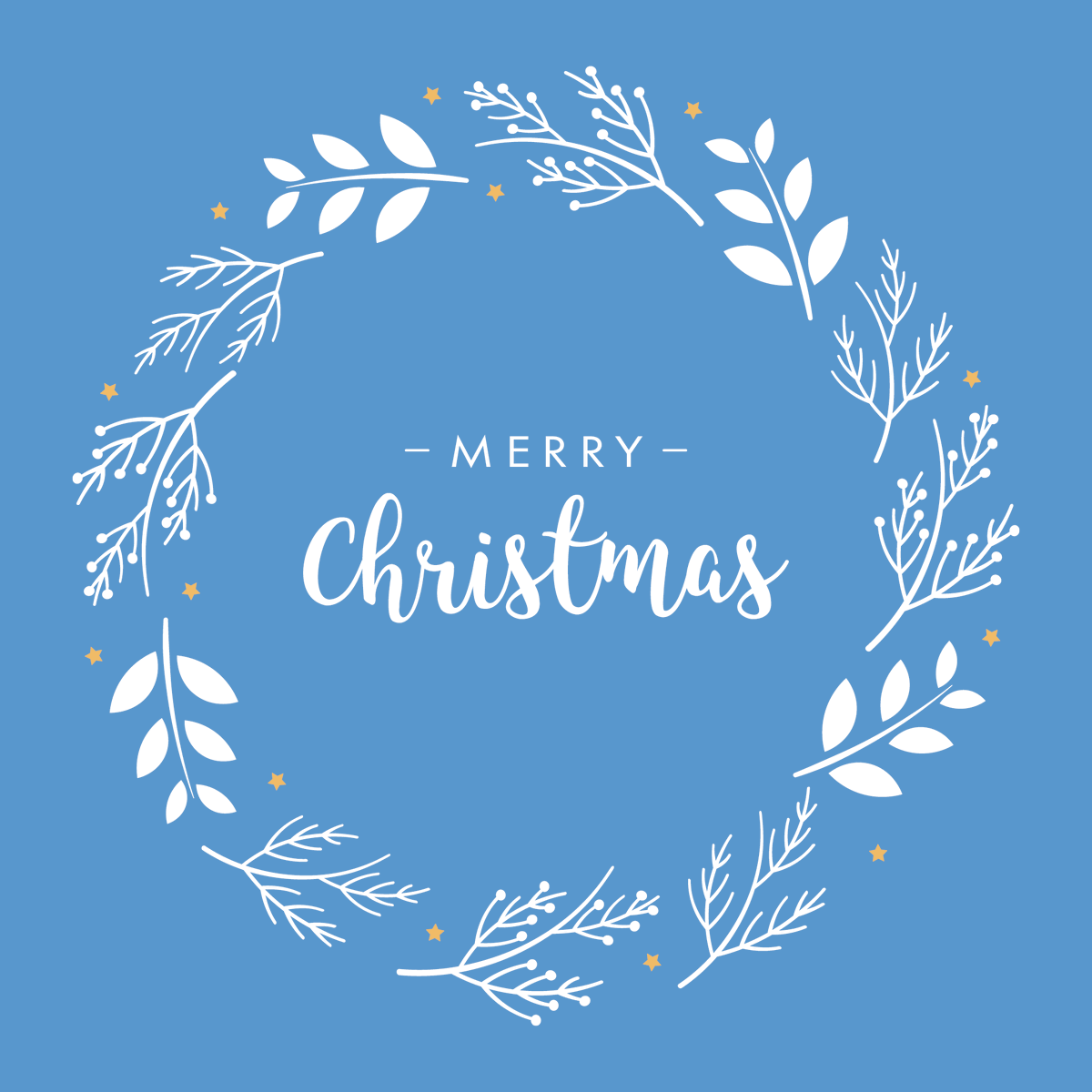Niagara4Therapy's tweet photo. Merry Christmas from everyone at Niagara Therapy! We hope you have a wonderful day. https://t.co/uMggJXECdZ