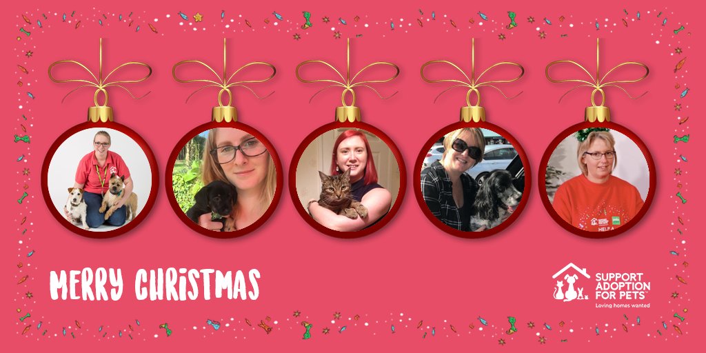 petsfdtnuk's tweet photo. #MerryChristmas from all the team at Support Adoption for Pets. Thank you for your wonderful support this year and during our #SantaPaws appeal. We hope your day is filled with love, joy, family and of course your rescue pets! https://t.co/uBSB02A3lw