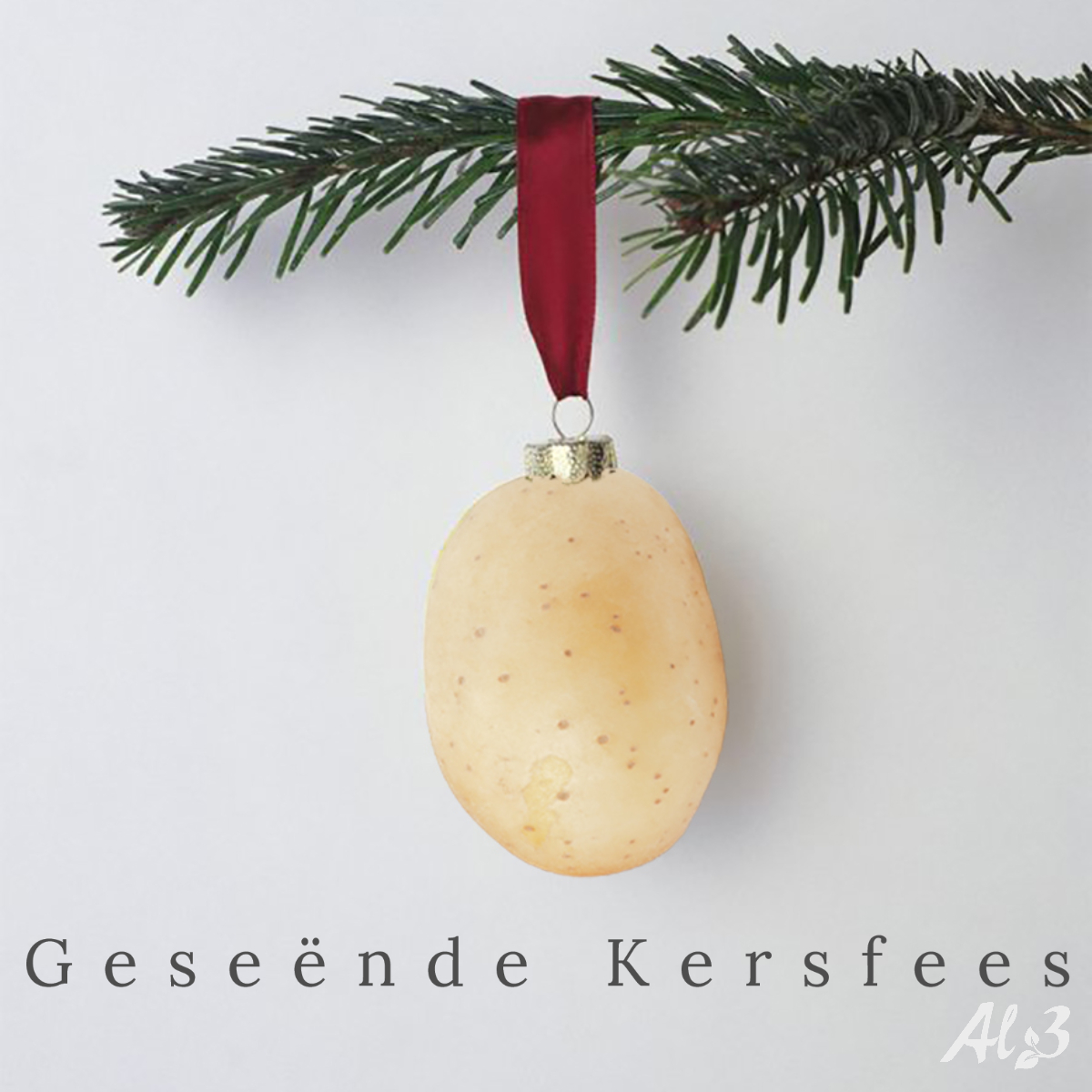 AL3BoerderySA's tweet photo. Geseënde Kersfees!

Mag ons nooit die Ware rede vir die seisoen vergeet nie &amp; mag Christus elke dag in jou hart weer gebore word.

#DaarIsHoop #GeseendeKersfees #OurSaviourIsBorn #MerryChristmas #AL3Boerdery https://t.co/ypXBRTqVC6