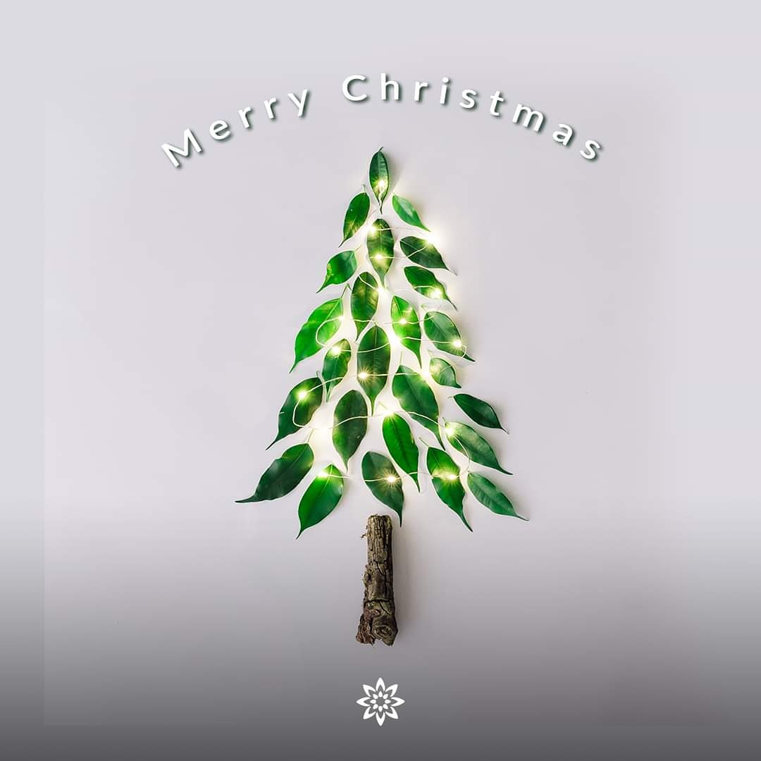This Christmas, give ‘Secret Santa’ a new spin by turning Santa to someone you love. And by gifting them the secrets of Nature. Gift Vedaearth products and celebrate this season with a twist. #MerryChristmas #HappyChristmas #SecretSanta #HoHoHo #SantaClaus #Vedaearth #HappyVibes