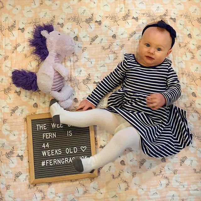 mgrassick's tweet image. Just can't... stay... still #FernGrassick #44WeeksOld #PurpleHorsey ift.tt/39d5MHd