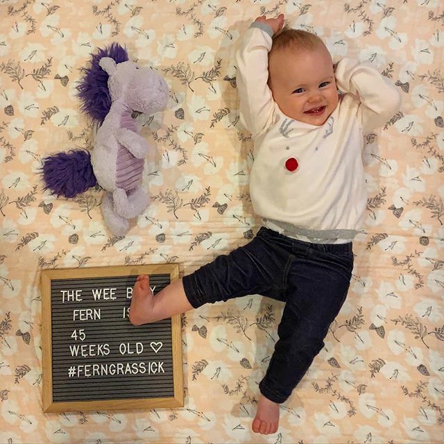 mgrassick's tweet image. We love our little Rudolph #FernGrassick #45WeeksOld #PurpleHorsey ift.tt/2PTUNef