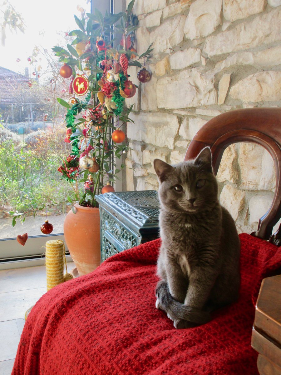 carolineharte2's tweet photo. Happy holidays to all our wonderful friends and supporters from Lavender Lodge
https://t.co/28ZkqjxLdx
#bulgaria#lavenderlodge#holidaytime#dappledlight
#airbnb#booking.com https://t.co/vH3IqbxAc6