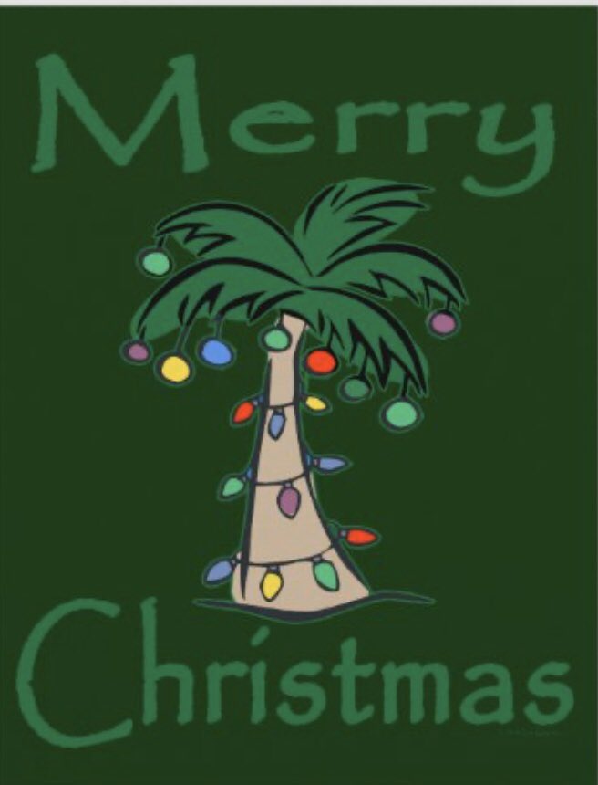 PalmtreesR's tweet image. 