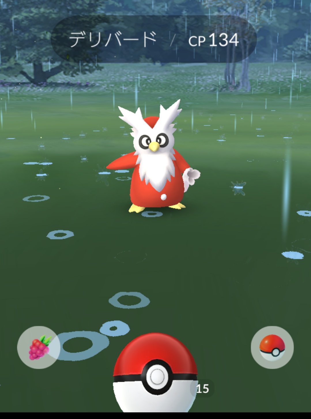 つきよ Twitter પર クリスマスだからか サンタさんみたいなポケモン出てきました びっくりした こんなポケモンいるんだね クリスマスの主役 ポケモン つきよのポケモンゲットだぜ T Co Qkbyqsnkbn Twitter
