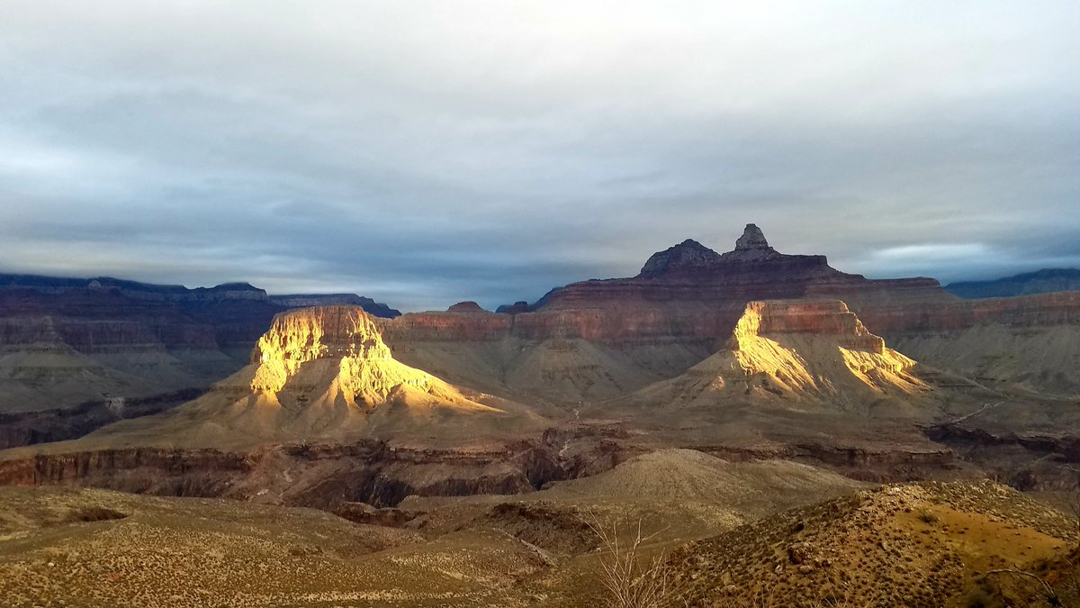 thecoyoteguy's tweet photo. Merry Xmas from the Grand Canyon! https://t.co/ruPee6Tzvh
