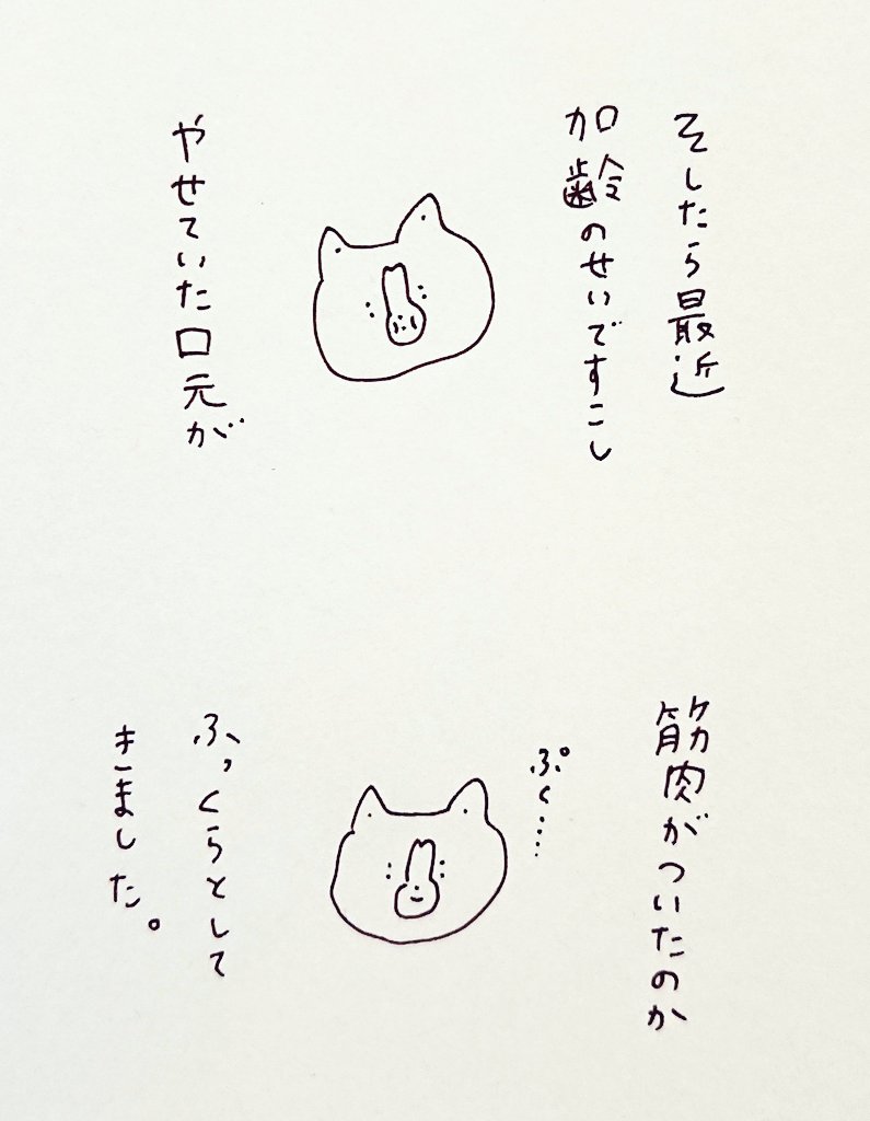 ニーニー日記 美のひけつ ガム 