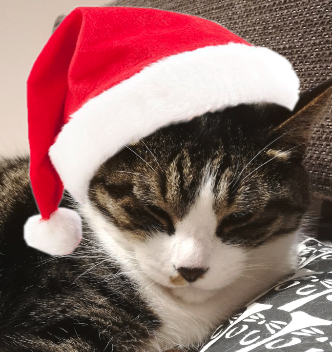 colormerepeat's tweet photo. メリークリスマス！ https://t.co/2IVGCPKXzs