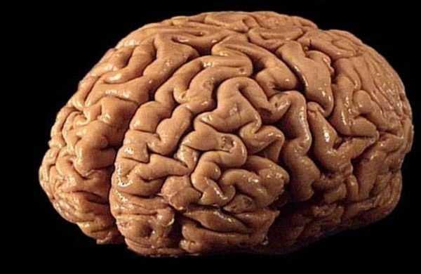 Kullanalım , kullanmayanları uyaralım .