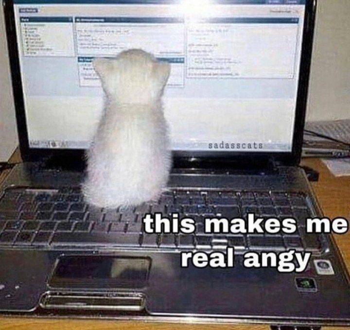 TeamAri17's tweet image. EXPOSE YOURSELF GAME: close ur eyes and scroll through ur camera roll and blindly choose 4 pics. no cheating