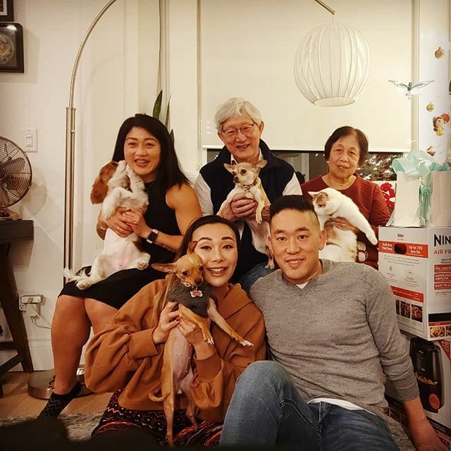 cremeistry's tweet photo. Family is truly what's most important. Most thankful that my dad could join us in good spirits. Merry Christmas from the Shomuras (and this pet bonanza 🐶🐶🐶🐈)!!!
.
.
.
#family #christmas #thankful https://t.co/lokSjj8pEY https://t.co/xgVe6kpxmn