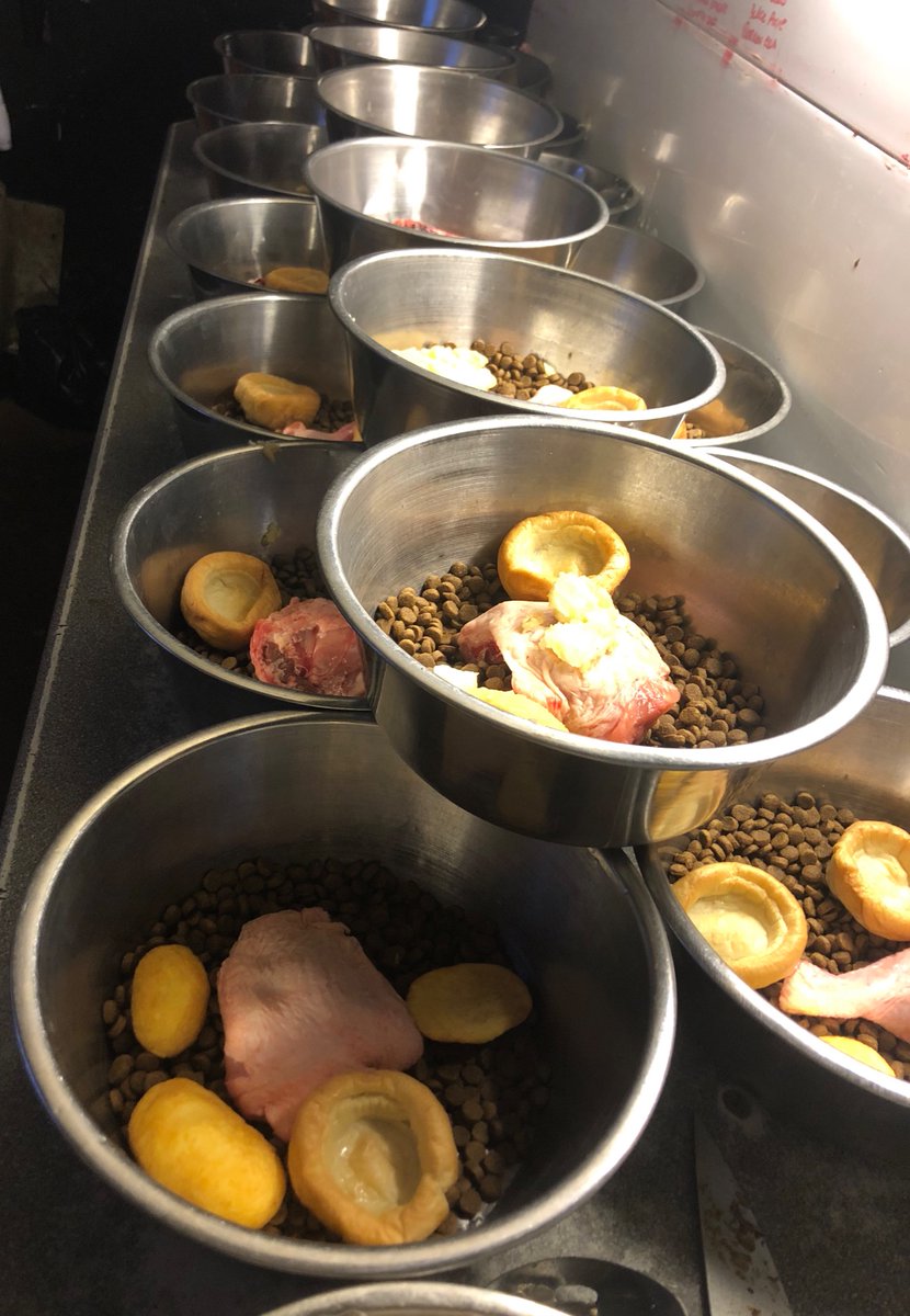 Christmas Lunch being prepared for the retired greyhounds at the kennel. Santa Paws flew over and left goodies. Merry Christmas to you all