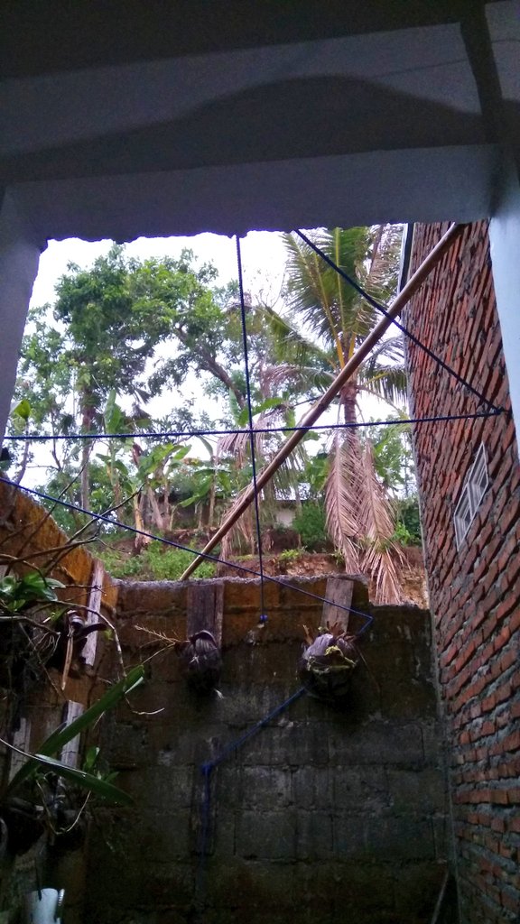 ditzsingarimbun's tweet image. Hujan Natal, pertanda baik dan melimpah berkat. Puji Tuhan. #GoodRain #RainyChristmas #BlessedChristmas