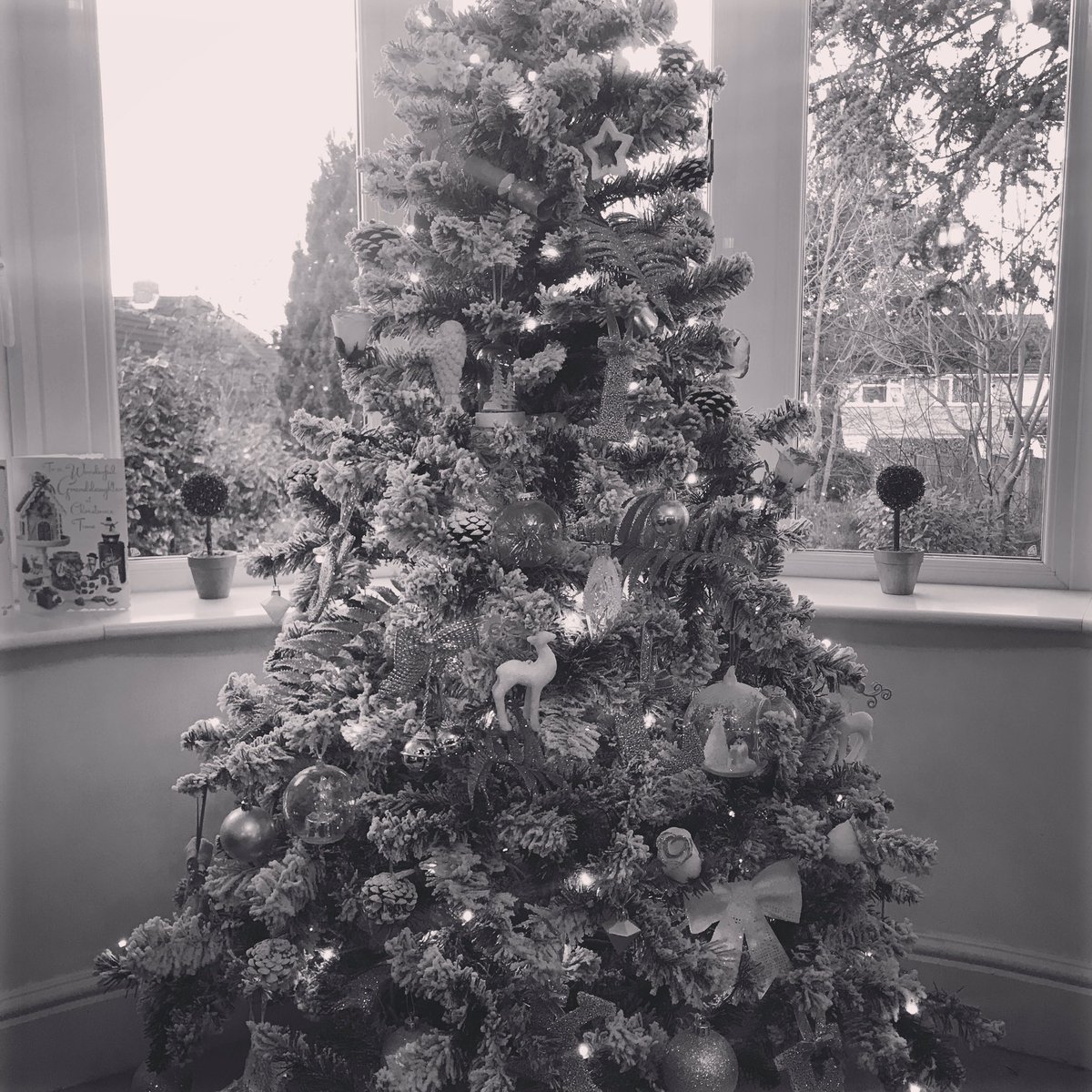 Merry Christmas from everyone at Swimstroke