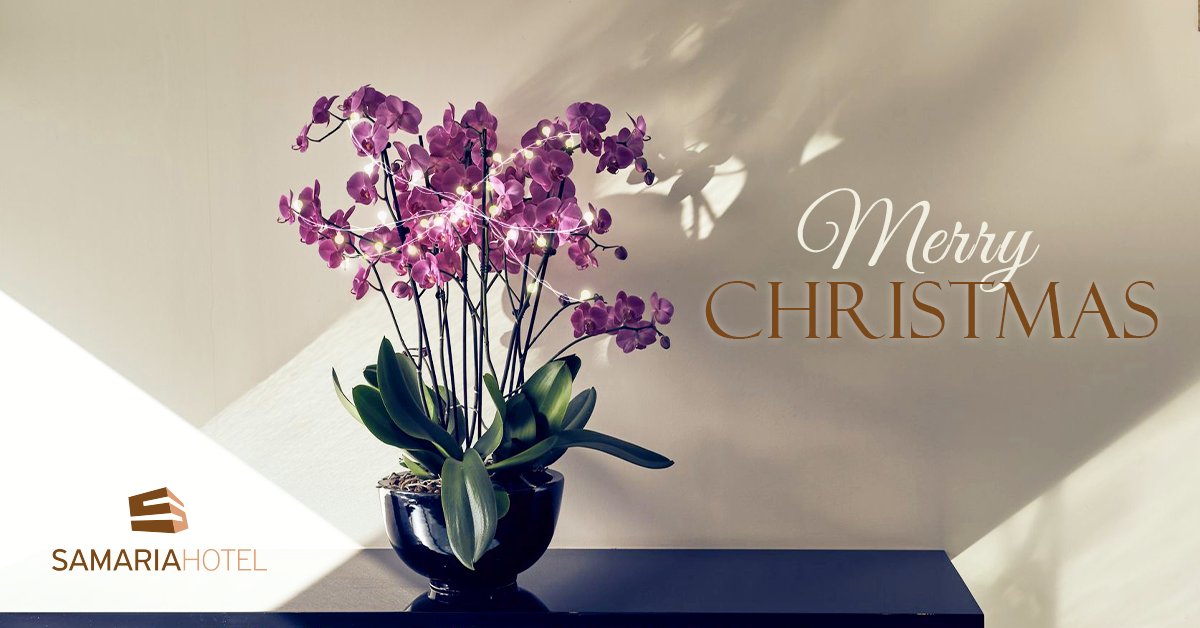 Samaria_Hotel's tweet photo. Celebrate this season's holidays at home or where you feel like home. We know a place.
Merry Christmas from @Samaria_Hotel.
#SamariaHotel #Chania #Crete #MerryChristmas https://t.co/FNIBDC3PJX