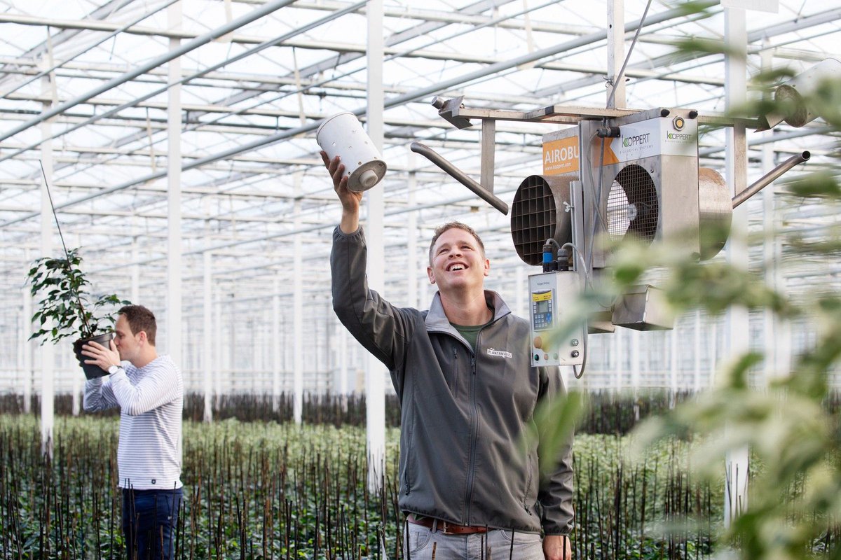 Bij opschalen denk je automatisch aan extra meters glas bouwen. <a href="/plantanious/">Plantanious B.V.</a> bewijst dat het ook anders kan, namelijk door middel van slimme samenwerkingsvormen. Want, schaalvergroting is geen doel op zich.
buff.ly/2PYS6H2
#TopTuinbouw #schaalvergrotingh #samenwerking