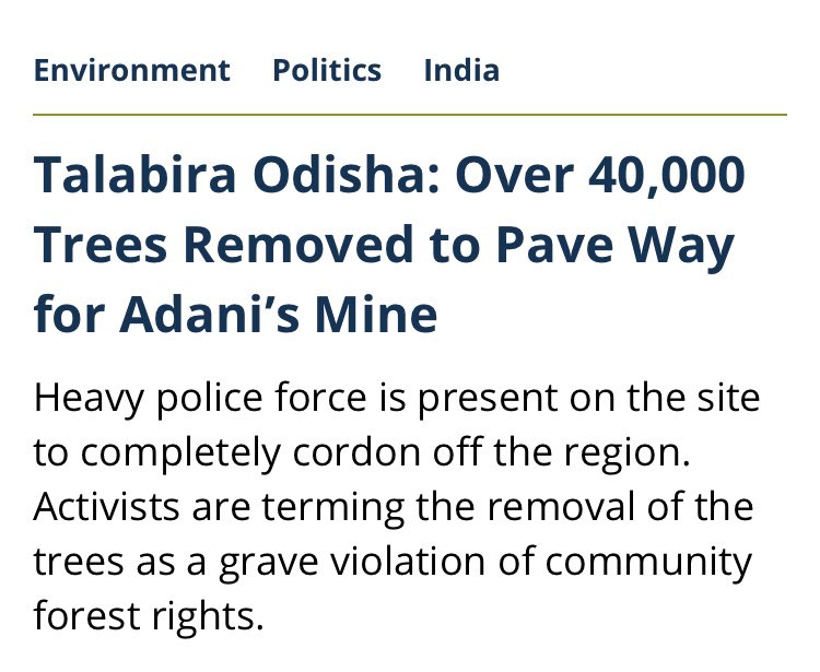 BhavreenMK's tweet image. #XmasTree! Why one tree? Let’s vow to save these lacs of trees; #MerryXmas!!!! #Save7GPRA #SaveDwarkaExpresswayTrees #SaveHasdeo #SaveAravalli #SaveAarey #SaveTalabira #SaveCentralVista