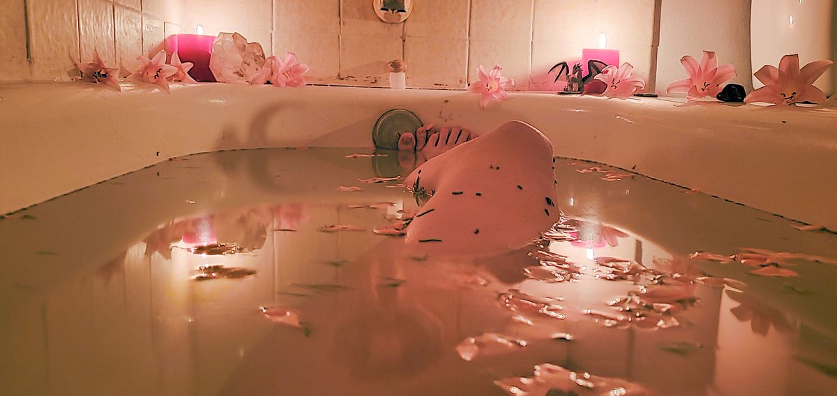MistyMoonGraves's tweet photo. Xmas as an adult means taking time to take a bath, because you will be working for 12 hours. #witchbath #selanite https://t.co/V8QCr4KUz8