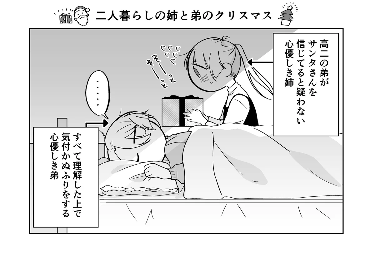 二人暮らしの姉弟のクリスマスは？優しい世界がそこにはあった！