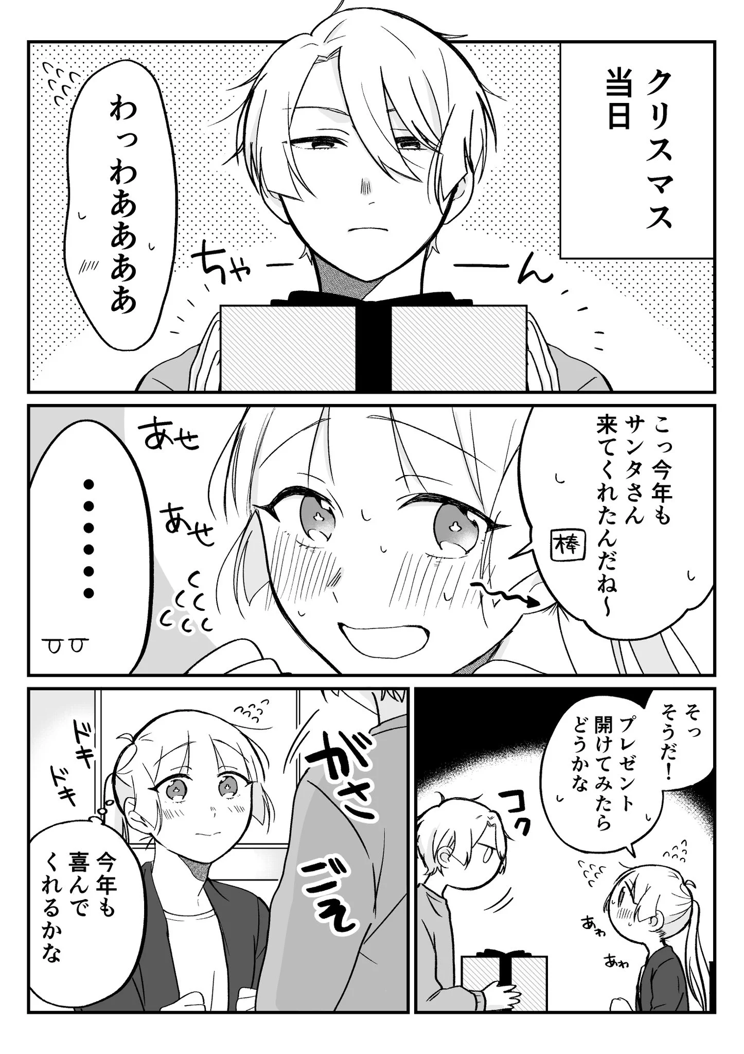 二人暮らしの姉弟のクリスマスは？優しい世界がそこにはあった！