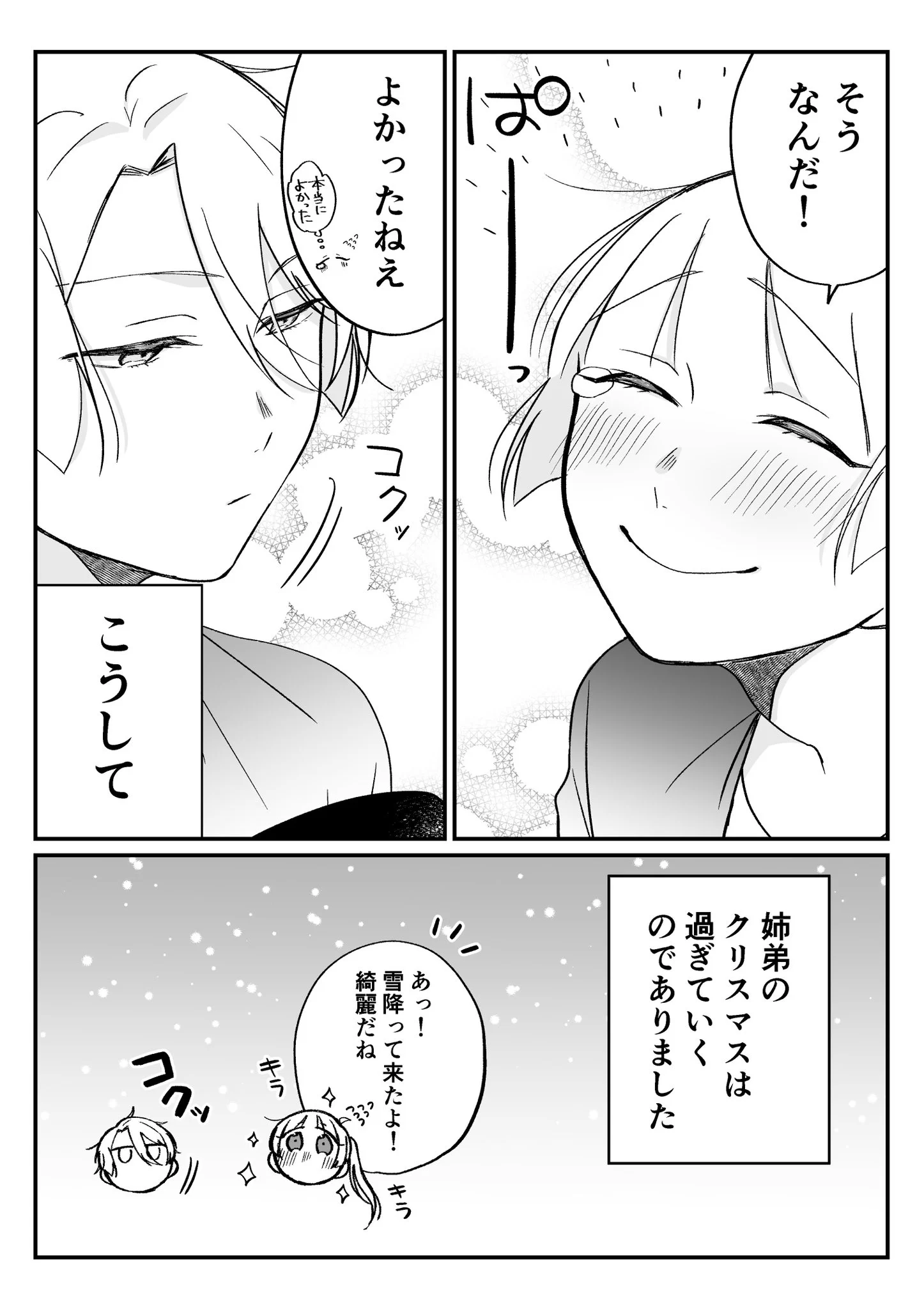 二人暮らしの姉弟のクリスマスは？優しい世界がそこにはあった！