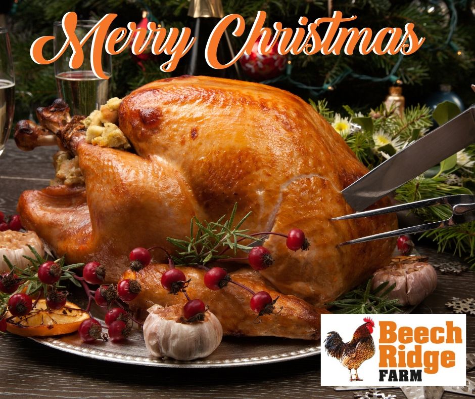 Wishing you all a very Merry Christmas, hope you all enjoy your Christmas lunch 🥂