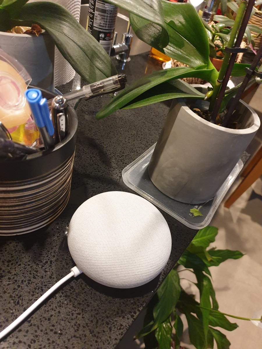 AilaKhan1's tweet image. After receiving a Pina Colada recipe, me to #GoogleAssistant  &apos;Hey Google, love you!&apos; Response: &apos;Awww....In terms of what keeps me going it&apos;s electricity; then you&apos;. #smartdevice #smartalec