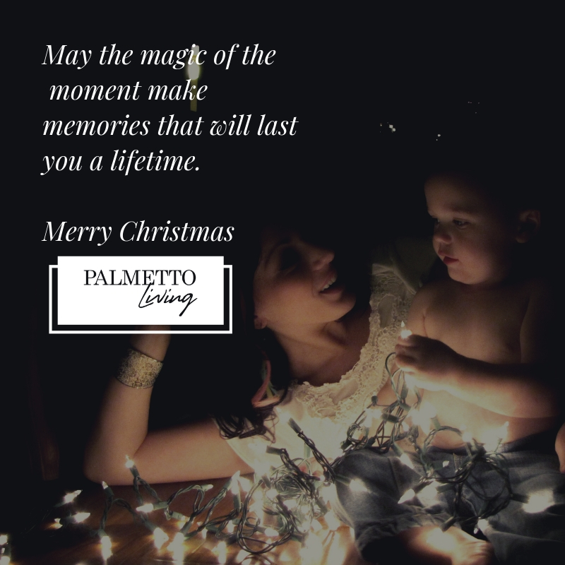 Wishing you and yours the very best - through the holidays and beyond. Merry Christmas . . . from Palmetto Living.