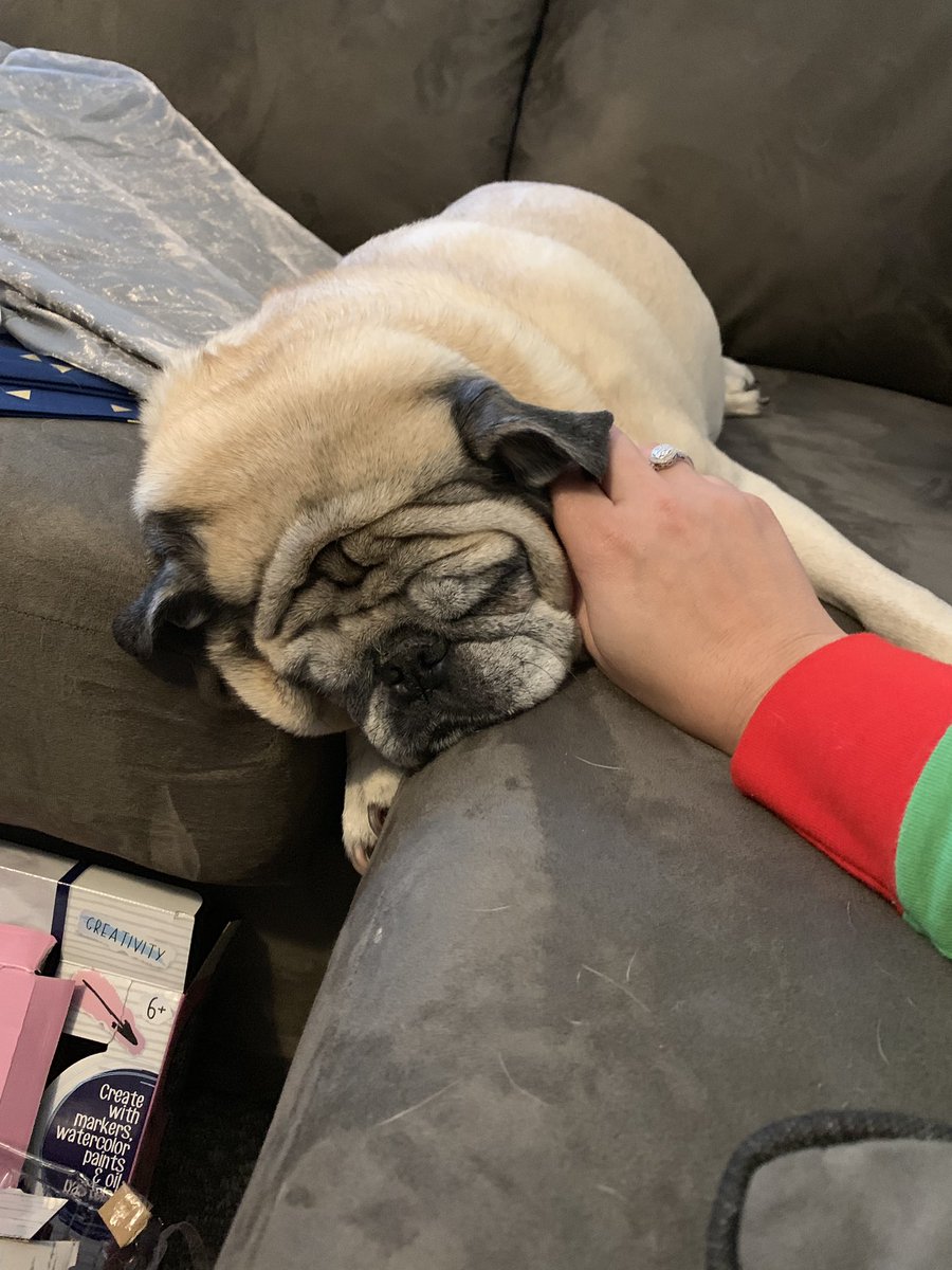 GeneralRoscoPUG's tweet photo. General is soooooo sleepy already this morning!!! #ChristmasMorning #puglife #itstooearly #Generalpug #pugchat https://t.co/GRDBse9aES