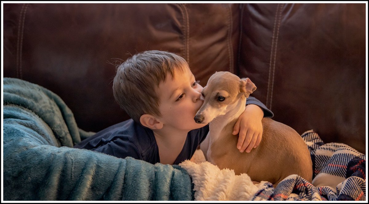 Merry Christmas! 🎄