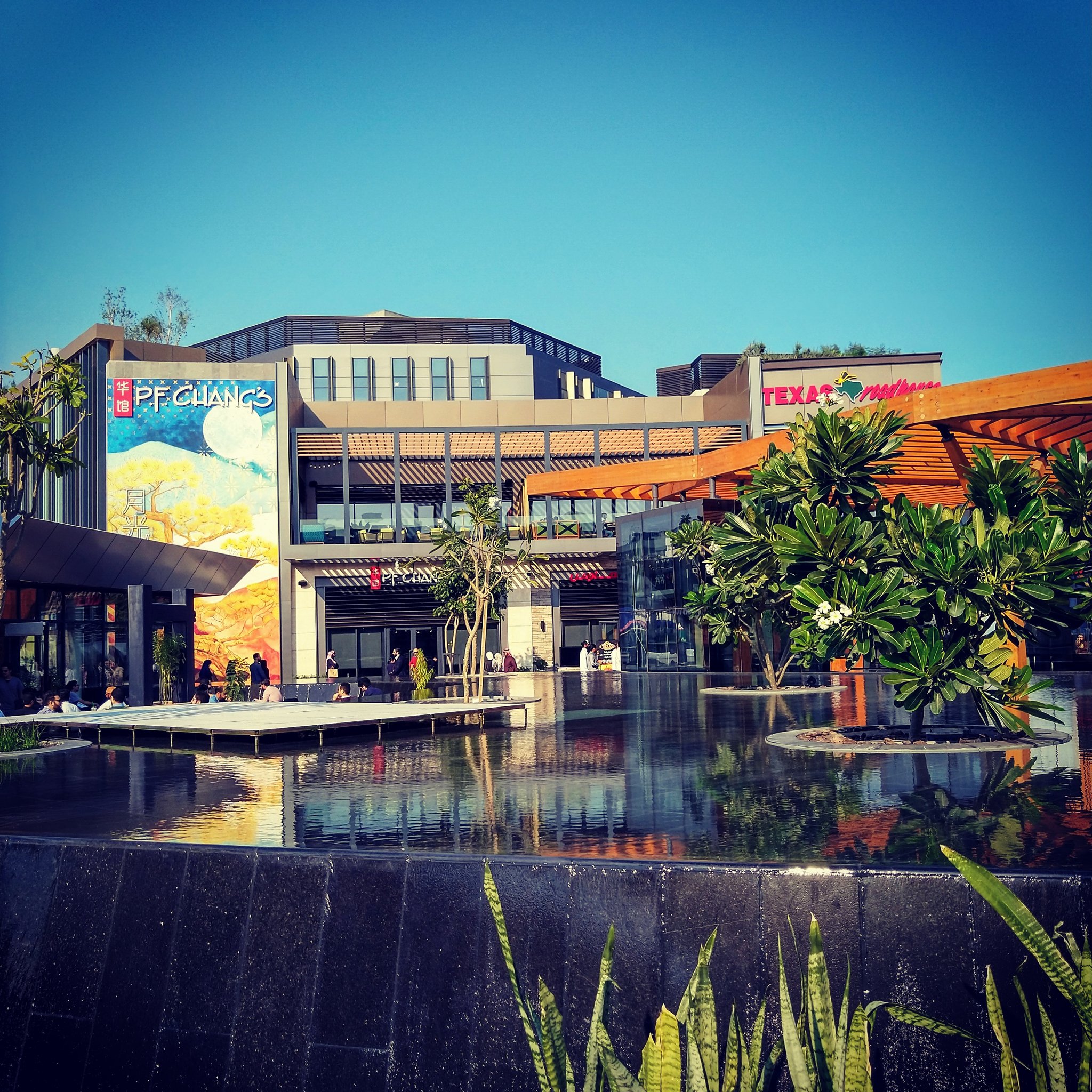 Pf Changs Logo