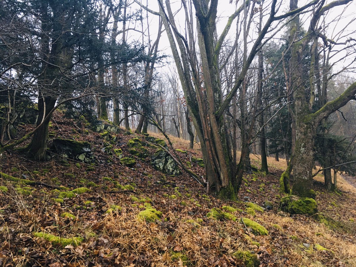 Petr Kuneš tweet media