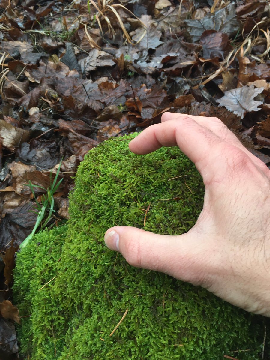 Petr Kuneš tweet media