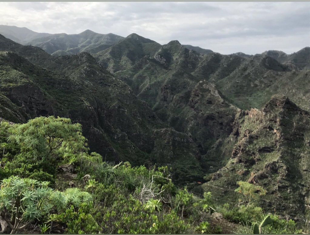 TurismoLosSilos's tweet photo. #LosSilos #IslaBaja #Tenerife #ParqueRural #Teno #IslasCanarias #CanaryIslands 🎄🎁🎉🔔 https://t.co/9sz0mE2saj