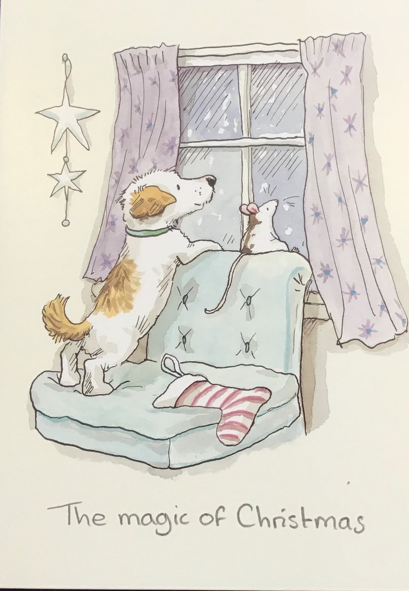c_arink's tweet photo. Fijne dagen voor allen gewenst🎄♥️🐾 https://t.co/rRUqw8wfZR