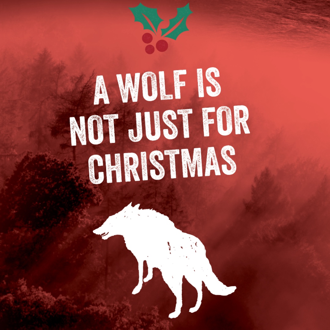 WWolfBrewery's tweet photo. Hoppy Christmas from the Wicklow Wolf Pack. 

And Remember, A wolf is not just for Christmas 🐺🍺 https://t.co/ylZa2oaIYj